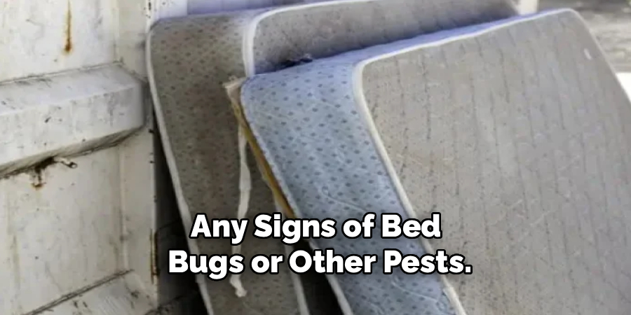 Any Signs of Bed
 Bugs or Other Pests.