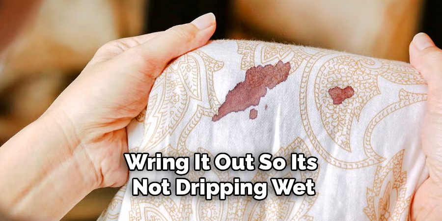 Wring It Out So Its
Not Dripping Wet