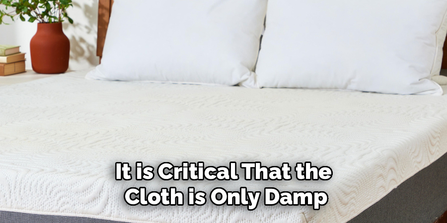 It is Critical That the 
Cloth is Only Damp